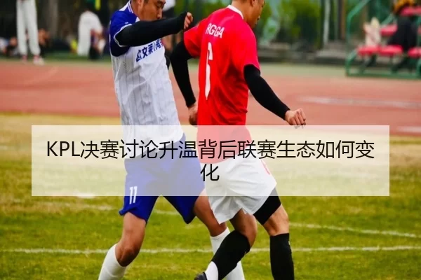KPL决赛讨论升温背后联赛生态如何变化 - ayx